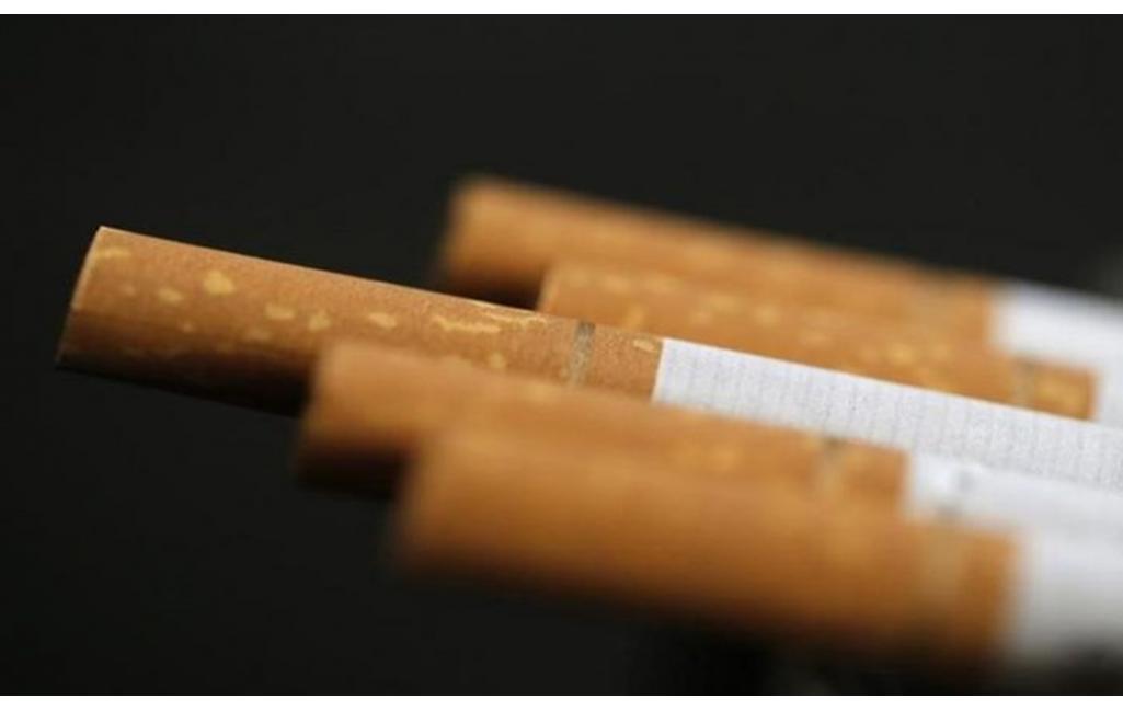 Tekan Konsumsi Rokok, WHO Minta Pajak Tembakau Dinaikkan