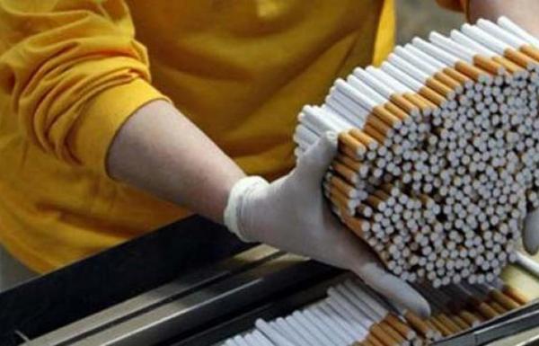 Pemerintah Masih Punya Peluang Tingkatkan Penerimaan Cukai Rokok